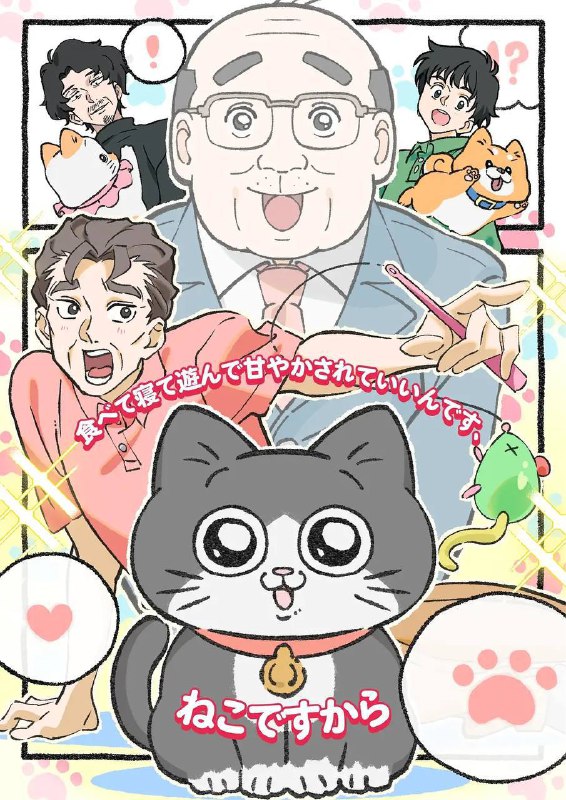 名称：转生成猫的大叔(2024) 更新至35集描述：明明是个很普通的上班族，但有一天突然转生为猫的大叔