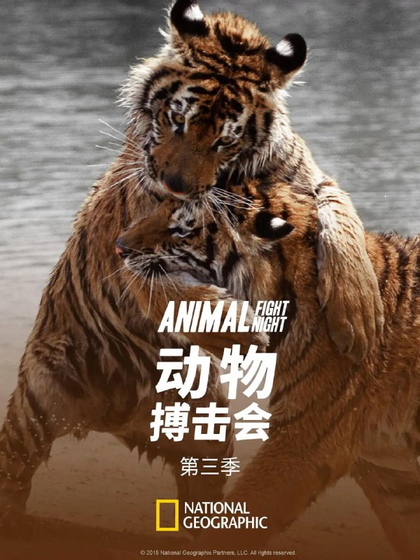 名称：动物搏击会 第三季 (2015)描述：《动物搏击会》第三季的六集影片介绍动物界最大、最凶恶，往往也最令人惊讶的战士